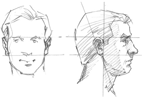 ears sketch