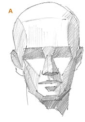 Here is an Artist's Guide to Drawing the Human Head