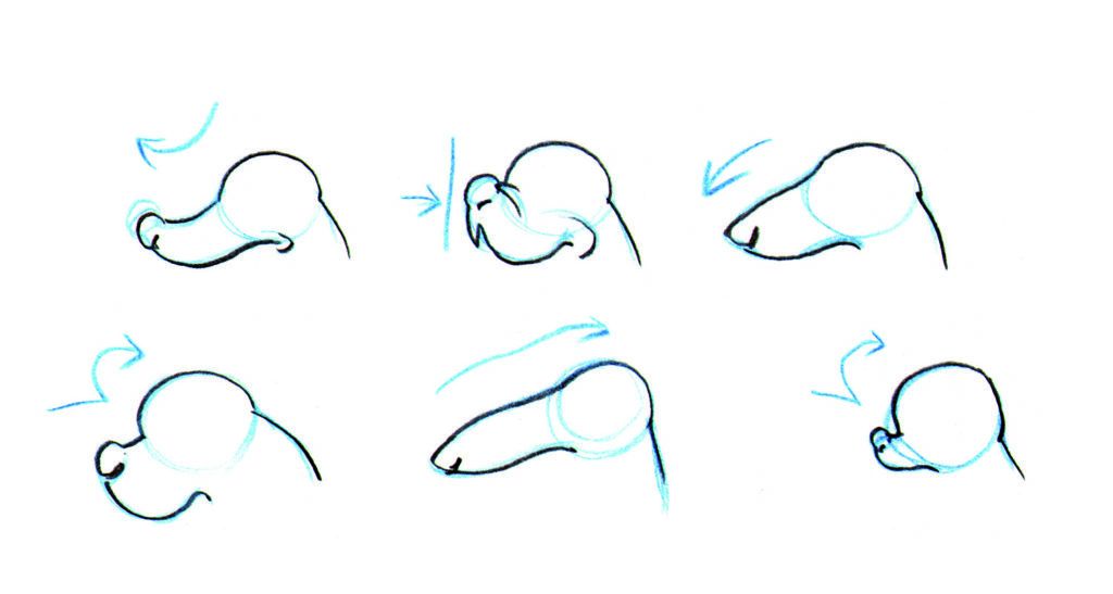 How to draw animals DogIntro_4 copy