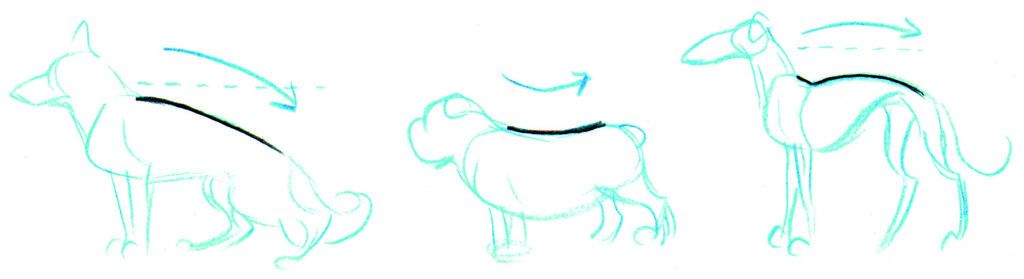 How to draw animals DogIntro_7 copy