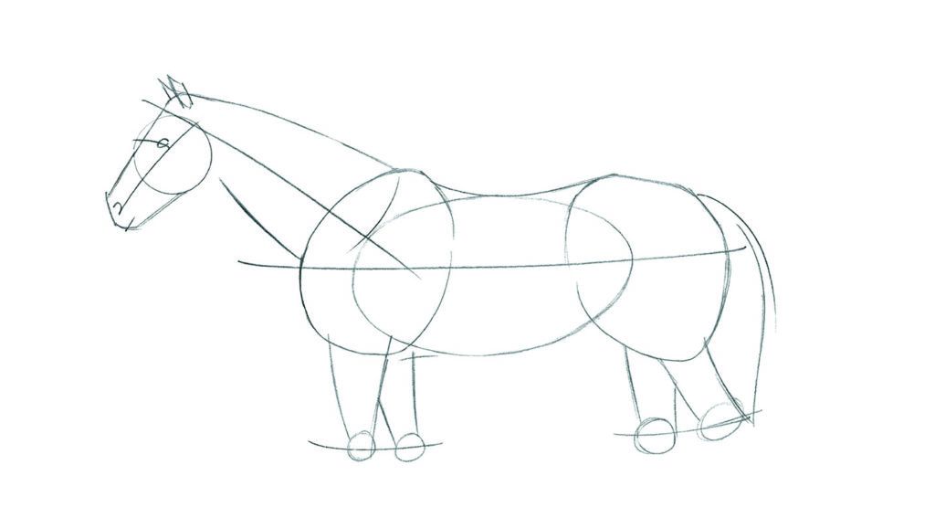 How To Draw Animals An Easy Drawing Guide For Starting