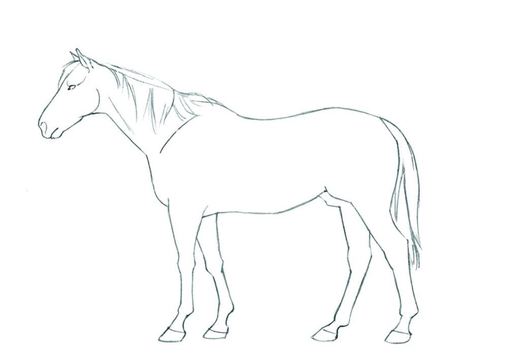 How to draw animals: HorseIntro_Standing6 copy