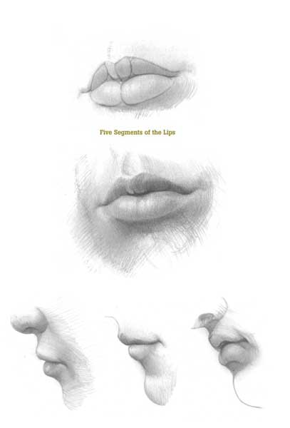 Understanding Anatomy: Lips | Artists Network