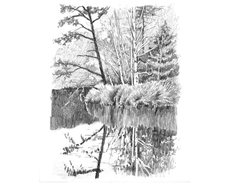 Featured image of post Pencil Dark Forest Drawing It was made in 2008 by katarzyna kmiecik me