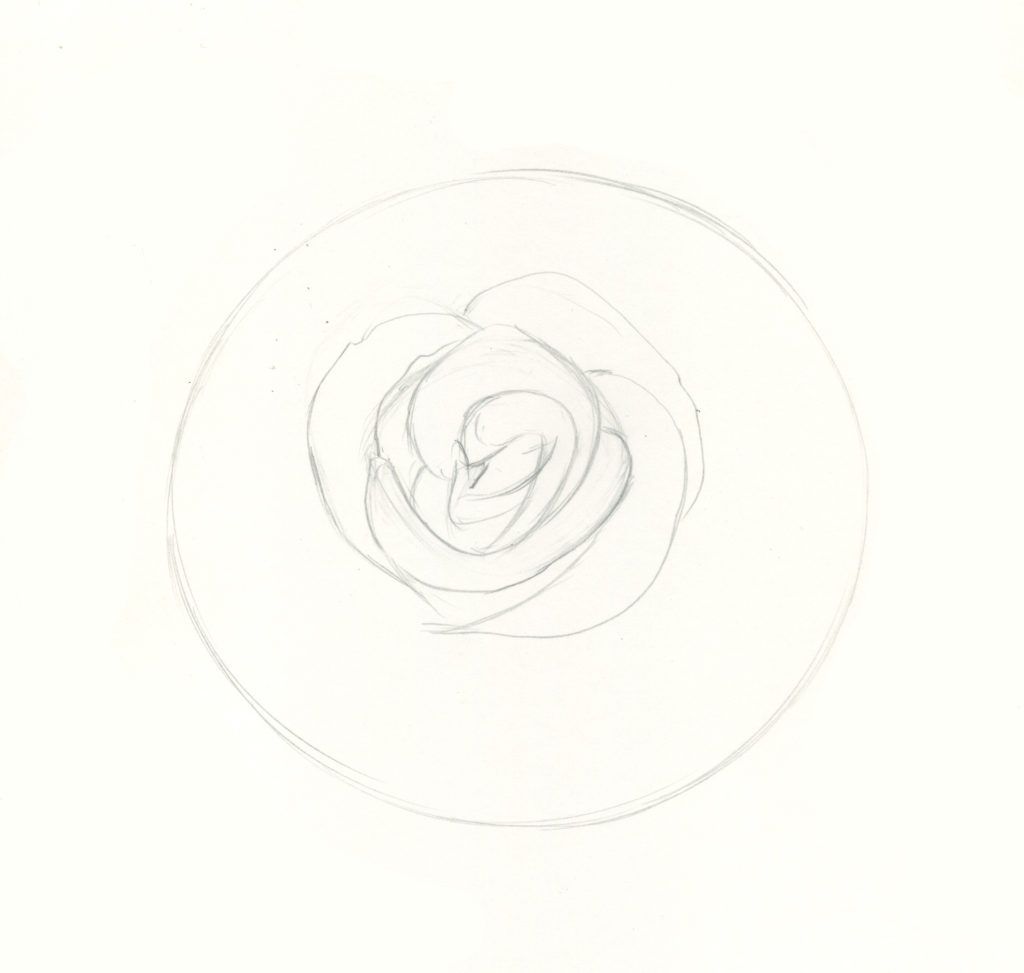 How to draw roses step 3