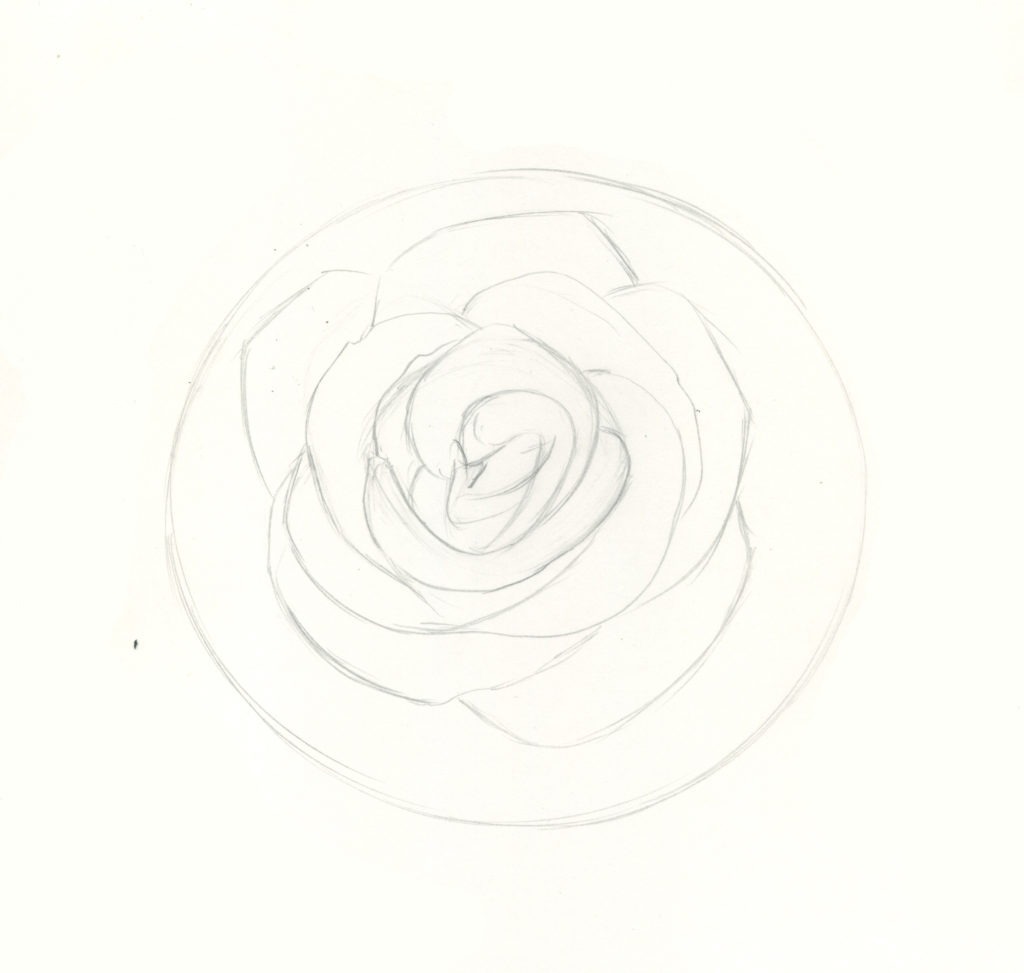 how to draw roses step 4