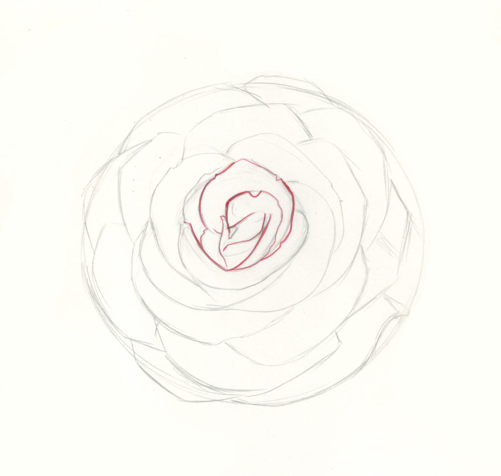 how to draw roses step 6