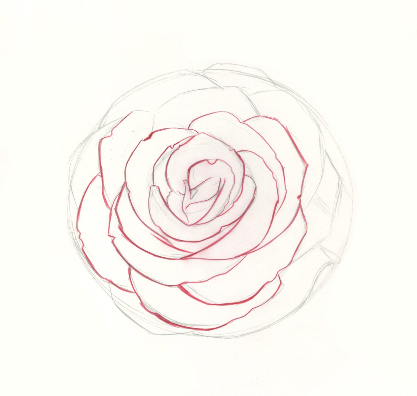How To Draw Roses An Easy And Complete Step By Step