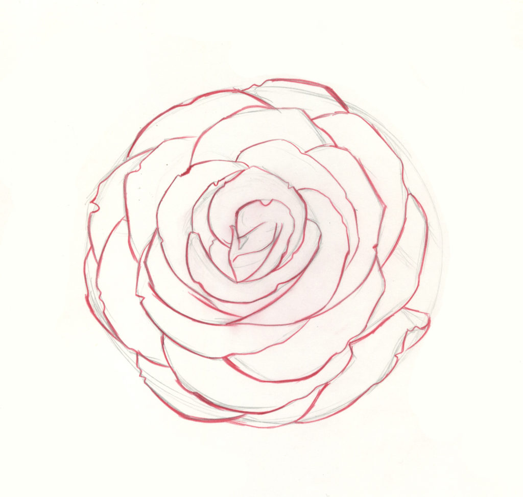 how to draw roses step 9