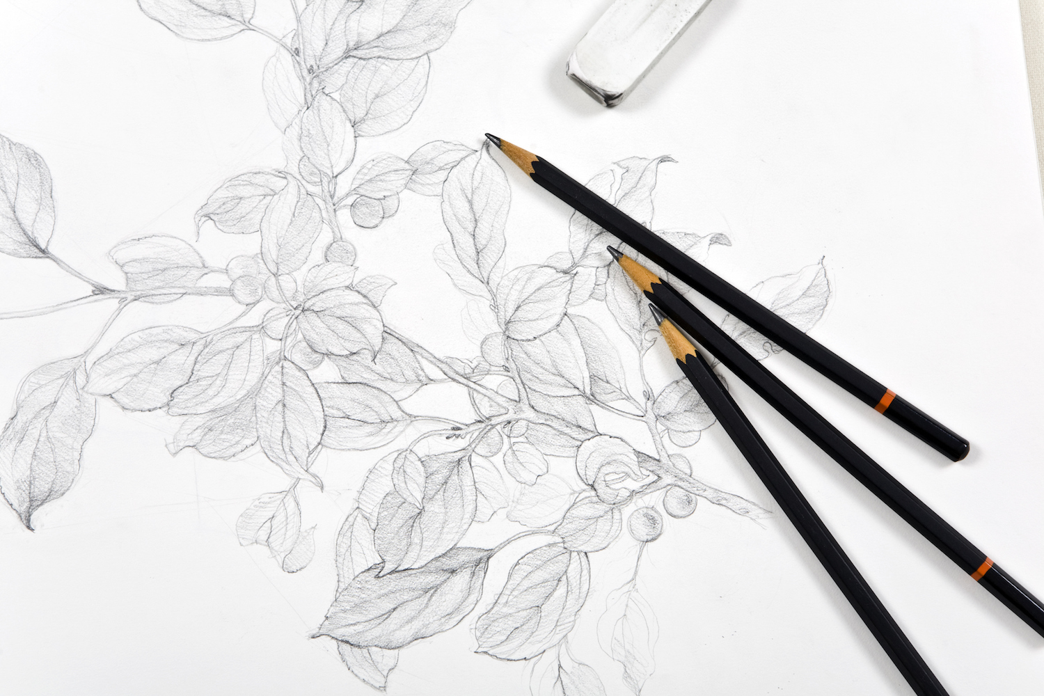 Learning to Draw with Graphite Pencil Here's What You Need to Know