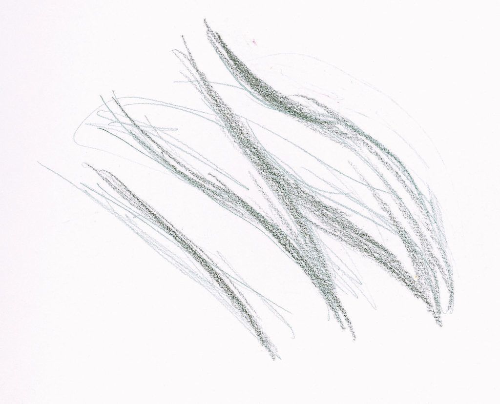 Long Wavy Hair Demo, Step 1 |  Lee Hammond |  Drawing Hair for Beginners in Graphite and Colored Pencil |  Artists Network