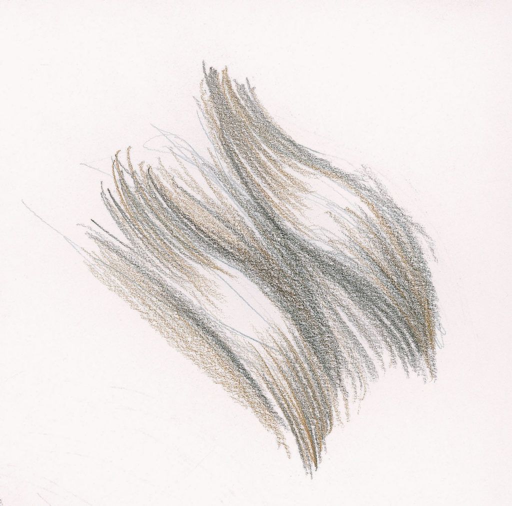 Long Wavy Hair Demo, Step 2 |  Lee Hammond |  Drawing Hair for Beginners in Graphite and Colored Pencil |  Artists Network