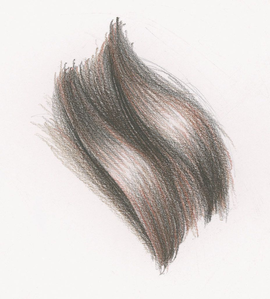 Long Wavy Hair Demo, Step 3 |  Lee Hammond |  Drawing Hair for Beginners in Graphite and Colored Pencil |  Artists Network
