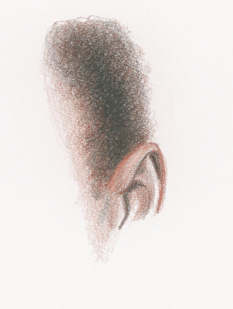 Short Curly Hair Demo, Step 3 |  Lee Hammond |  Drawing Hair for Beginners in Graphite and Colored Pencil |  Artists Network