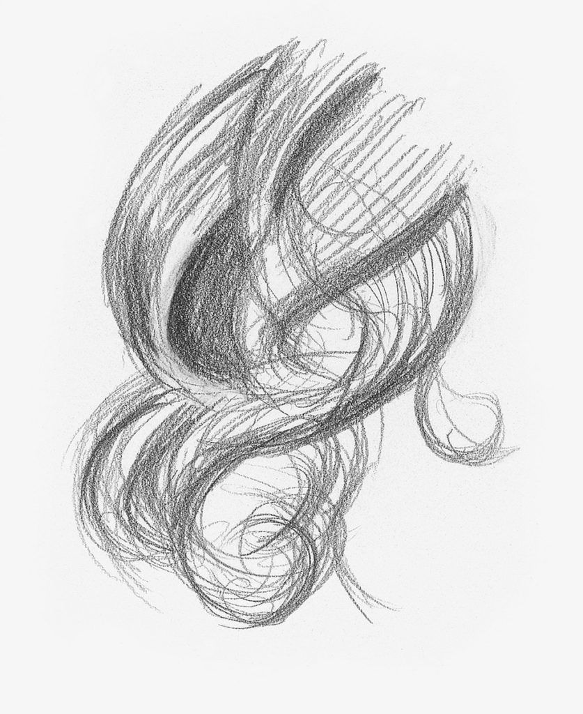 Curly Hair Demo, Step 2 |  Lee Hammond |  Drawing Hair for Beginners in Graphite and Colored Pencil |  Artists Network