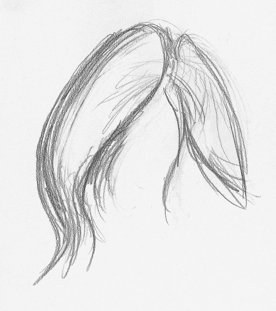 Straight Hair Demo, Step 1 |  Lee Hammond |  Drawing Hair for Beginners in Graphite and Colored Pencil |  Artists Network