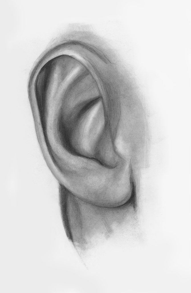 Featured image of post How To Draw Ears From The Front Easy From here we can locate the positions of the facial