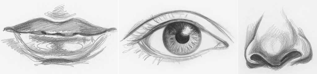 35+ Drawing Eyes For Beginners PNG