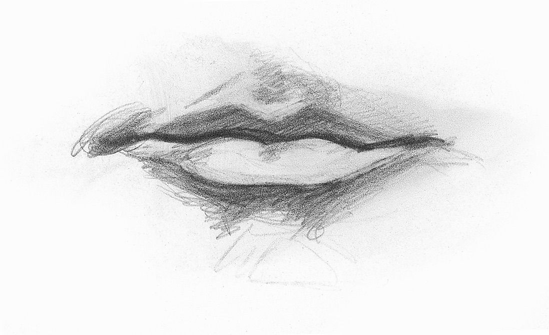 Draw Facial Features Lee Hammond Artists Network Mouth Male Demo 2 .optimal 