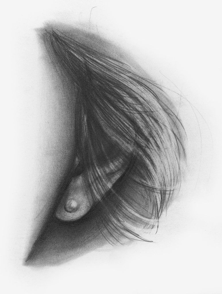 Drawing of Ear, Front View | How to Draw Facial Features with Lee Hammond, Beginner's Guide | Artists Network
