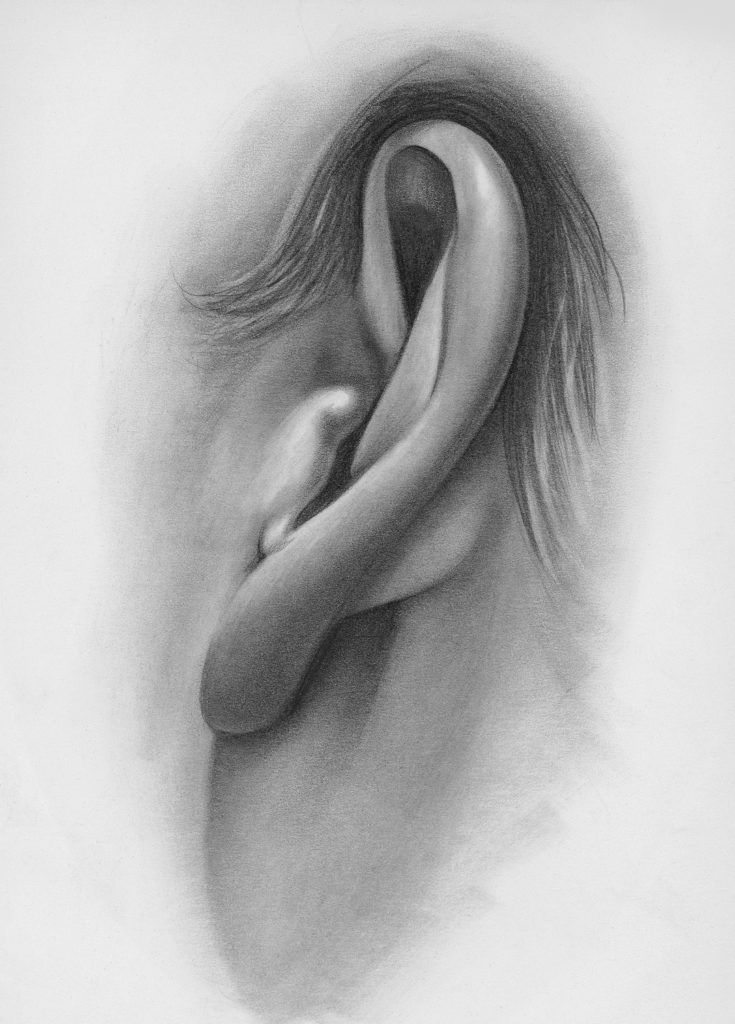 Drawing of Ear, Side-Angle View | How to Draw Facial Features with Lee Hammond, Beginner's Guide | Artists Network