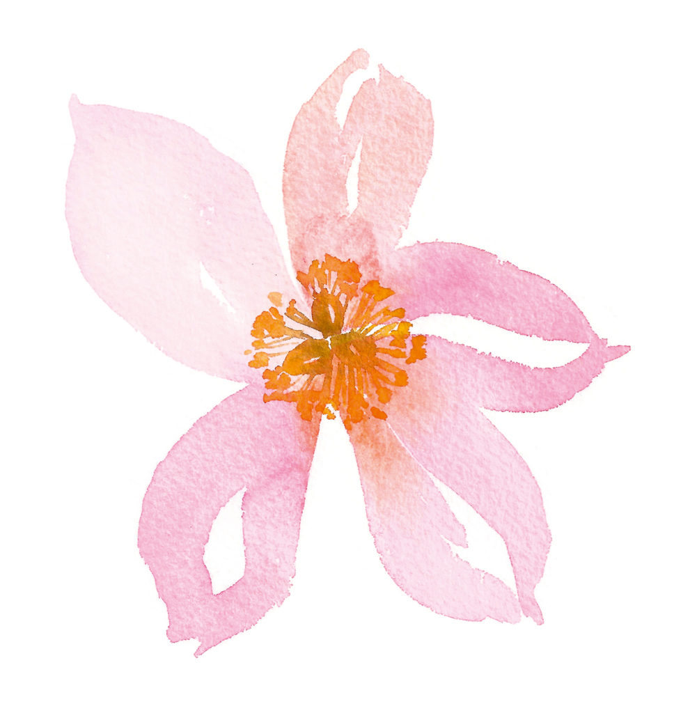 Featured image of post Flower Water Color Painting Images - Recently added 40+ watercolor flowers png images of various designs.
