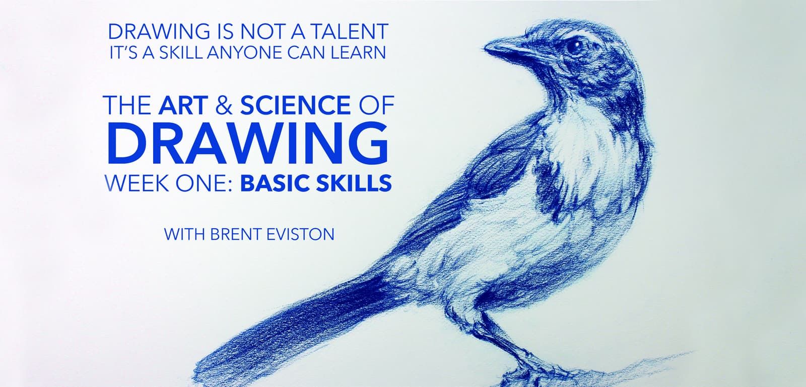 The Art & Science of Drawing Week 1, Basic Skills Course Artists Network