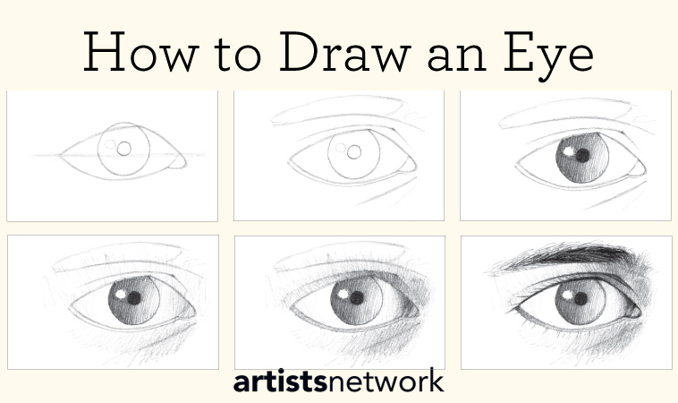 Drawing for Beginners Free, StepbyStep Guide Artists