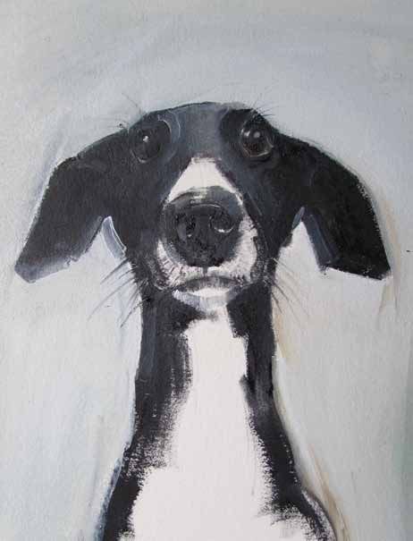 A Dog a Day by Sally Muir: Charity