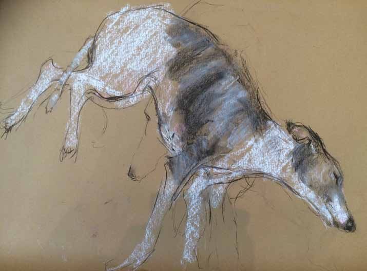 A Dog a Day by Sally Muir: Lily