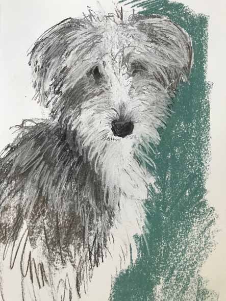 A Dog a Day by Sally Muir: Sidney